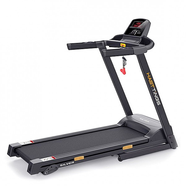 Беговая дорожка Hasttings Silver