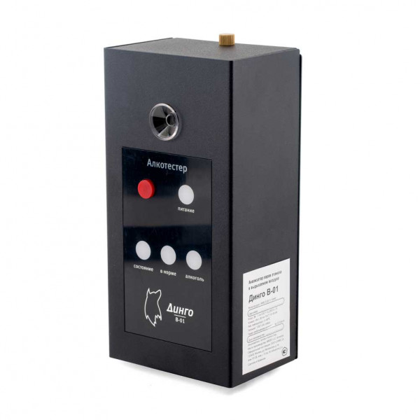Алкотестер (алкорамка для проходной) Динго В-01 