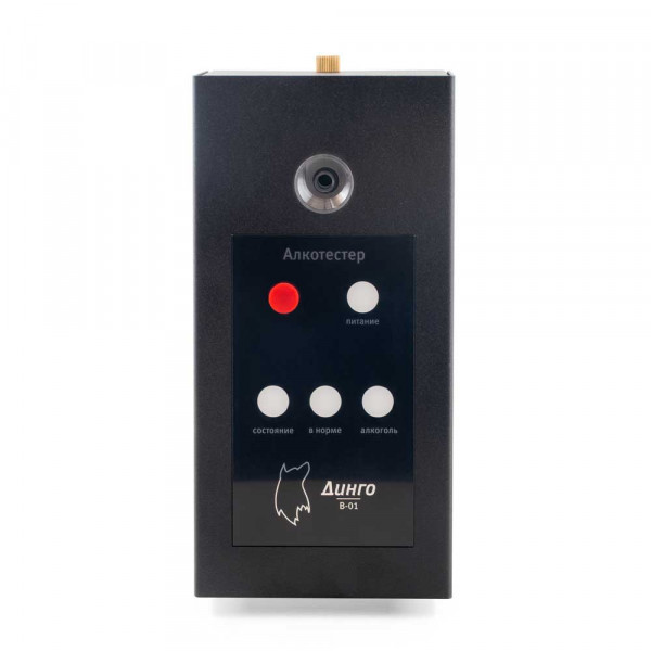 Алкотестер (алкорамка для проходной) Динго В-01 -2