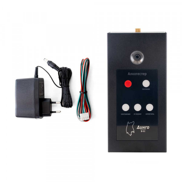 Алкотестер (алкорамка для проходной) Динго В-01 -8