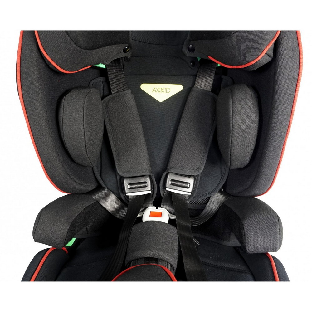 Детское автомобильное кресло ДЦП Thomashilfen Axkid NEXTKID Reha-2
