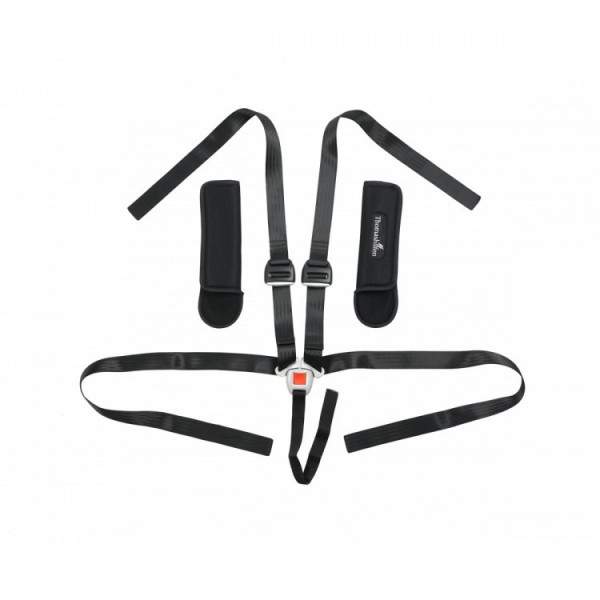 Детское автомобильное кресло ДЦП Thomashilfen Hercules Prime-12