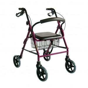 Ходунки-роллаторы FS965LH