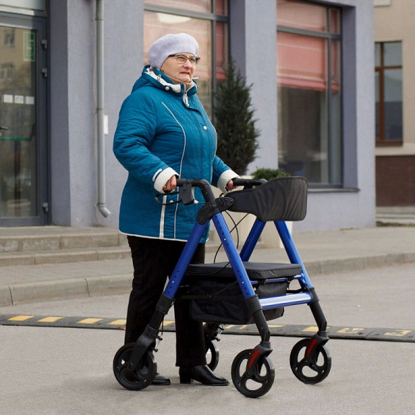 Ходунки-роллаторы Ortonica XR201-7