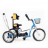 Реабилитационный велосипед RAFT BIKE для детей и взрослых с ДЦП